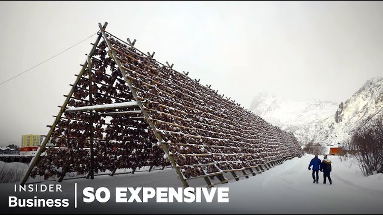 Why Stockfish Is So Expensive | So Expensive Food | Insider Business