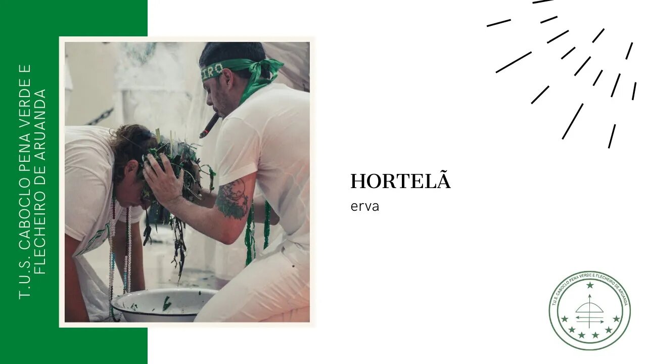 Dica de erva: Hortelã