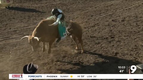 Tucson councilman Kozachik threatens to keep funds from rodeo