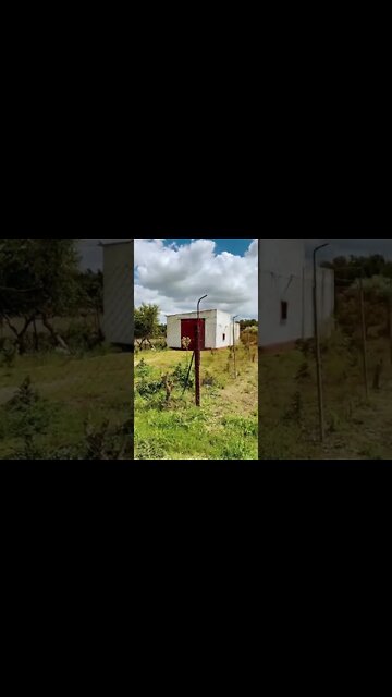 How big plot you need? #vanlife