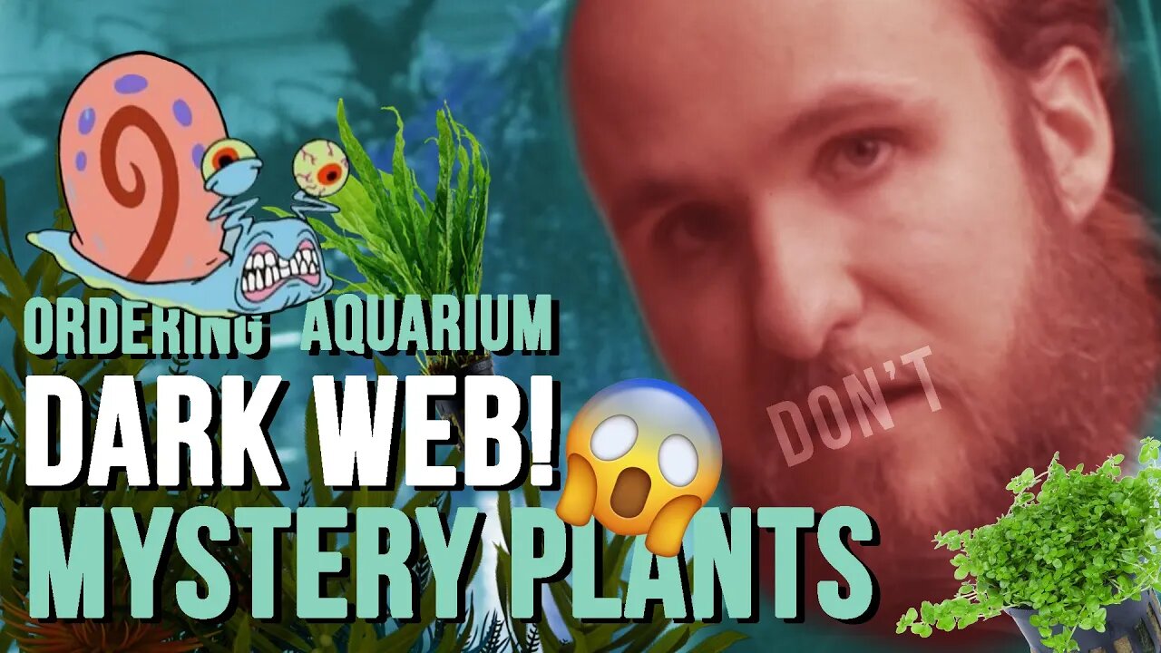 Don't Order Aquarium Plants On Ebay