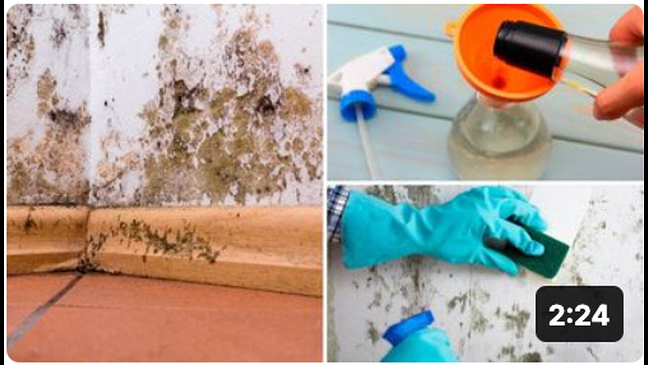 How To Get Rid of Black Mold Naturally