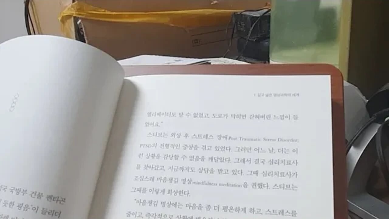 명상하는 뇌, 대니얼골먼, 스티브대령, 여객기, 자애, 외상후스트레스장애, 제3수준, 심오한변성,스트레스완화
