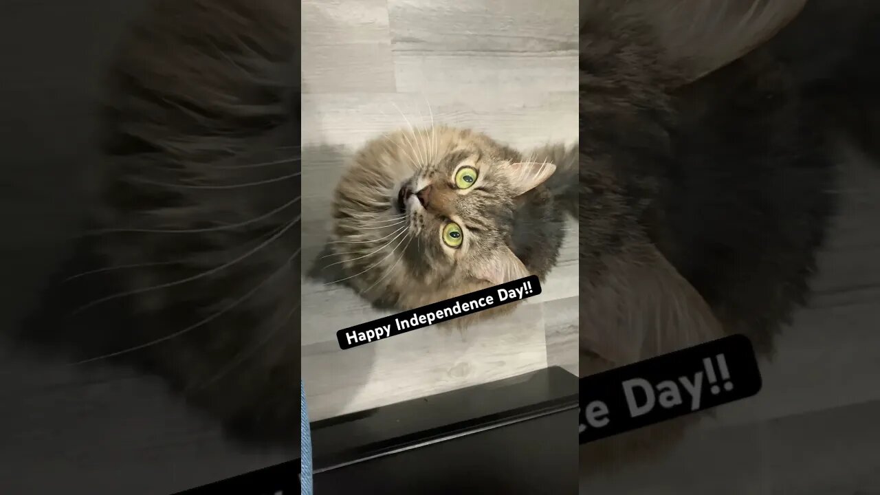 Album interrupted! πΌπββ¬πΌπββ¬ Happy Independence Day!