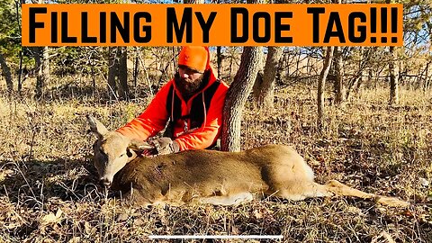 2020 Doe Tag Filled