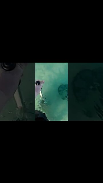 Equinox Beach Detecting in Water #shorts