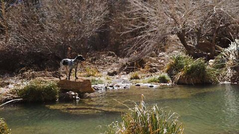 Best Kept Secret! Sitting Bull Falls Recreation Area, Lincoln National Forest, New Mexico