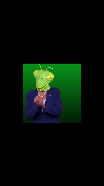 Green Screen Nancy Pelosi green screen Praying mantis hands