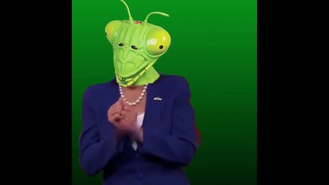 Green Screen Nancy Pelosi green screen Praying mantis hands