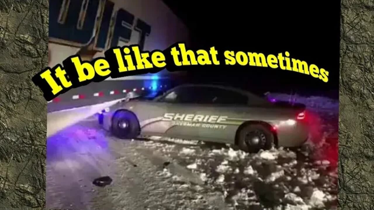 Hitting a Bear be Like