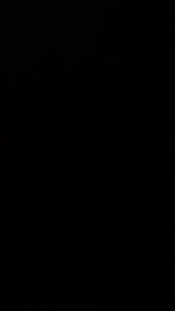 The Dan Bongino show