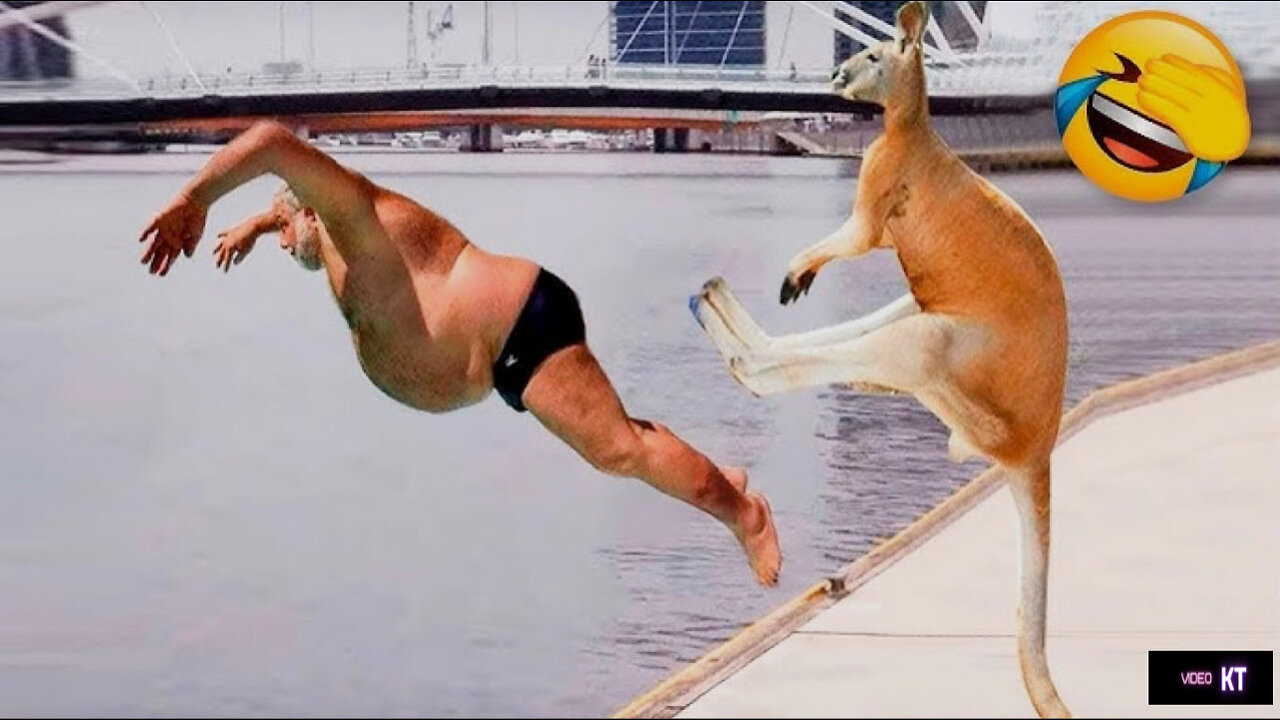 Funny Animals 🐶🐱🐵🦮🐈🦧