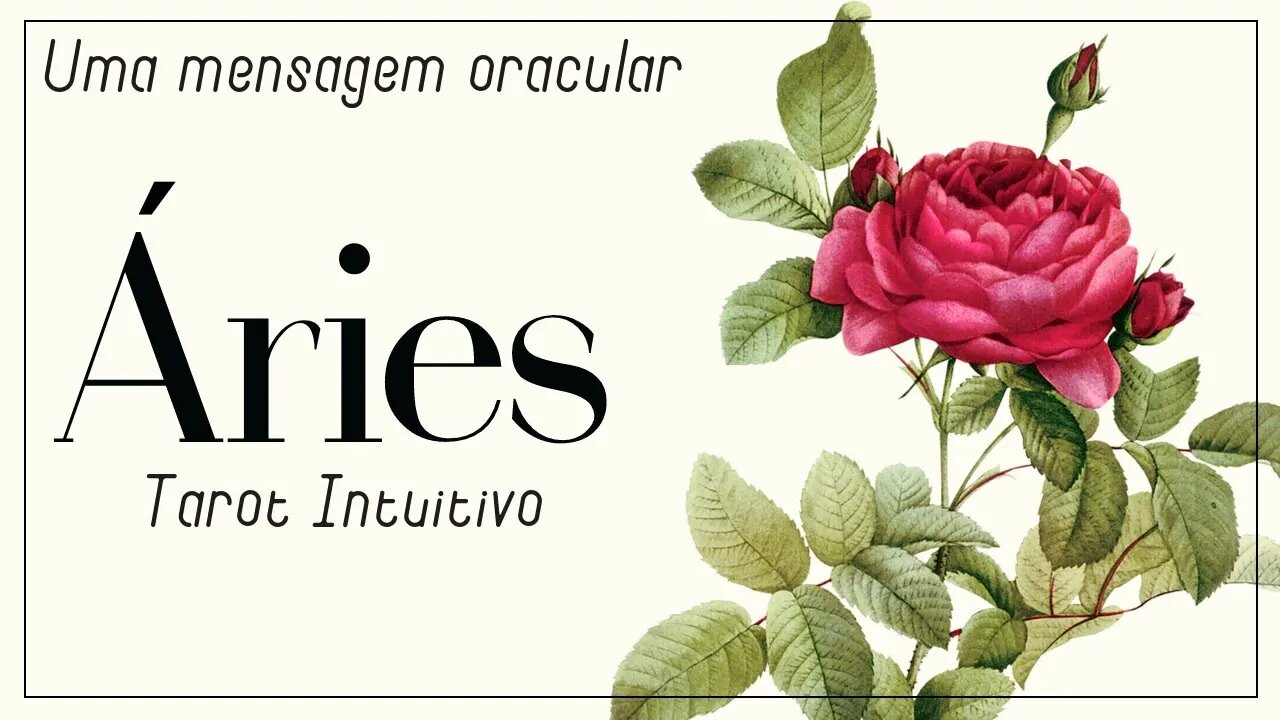 ♈ ÁRIES ♈ O QUE VOCÊ PRECISA SABER NESSE MOMENTO? | TAROT INTUITIVO ✴︎