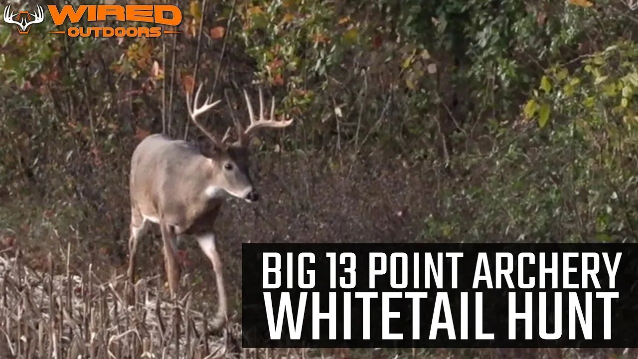 BIG 13 Point Archery Whitetail Hunt