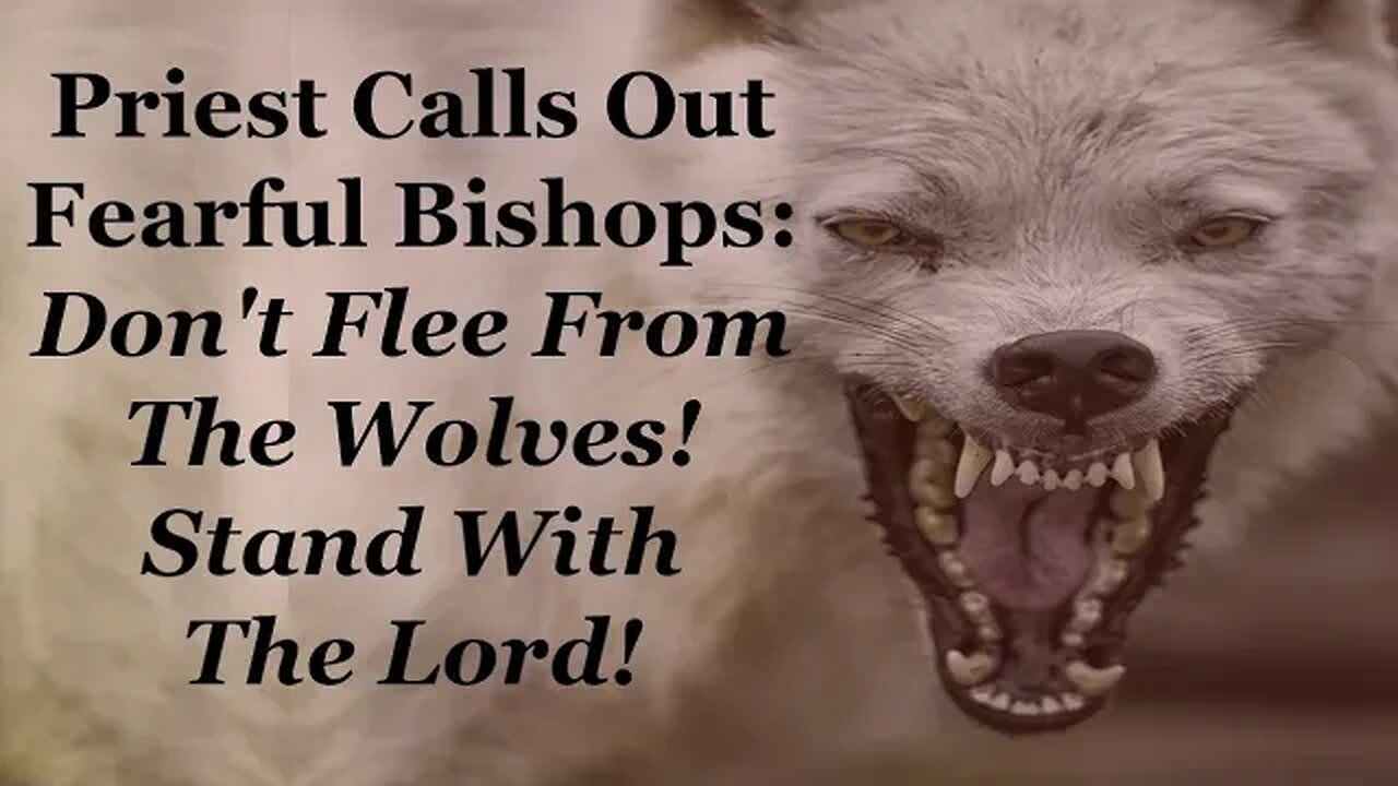 Priest Calls Out Fearful Bishops: Don't Flee From The Wolves! Stand With The Lord!