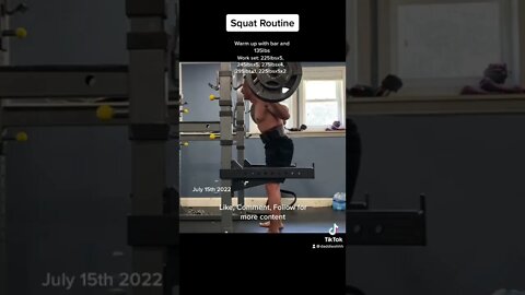 Squat routine 295#