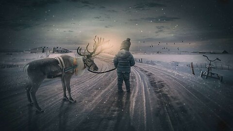 Winter Fairy Tale Videos