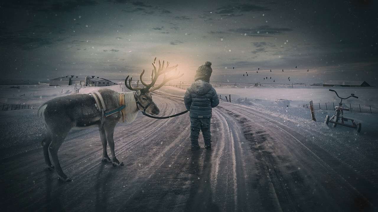 Winter Fairy Tale Videos