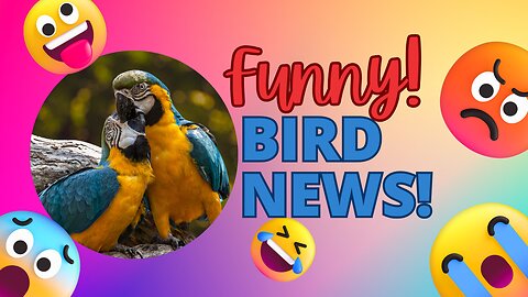 Funny Bird Video 2023 Compilation - Funny Animal Video - Animal reactions