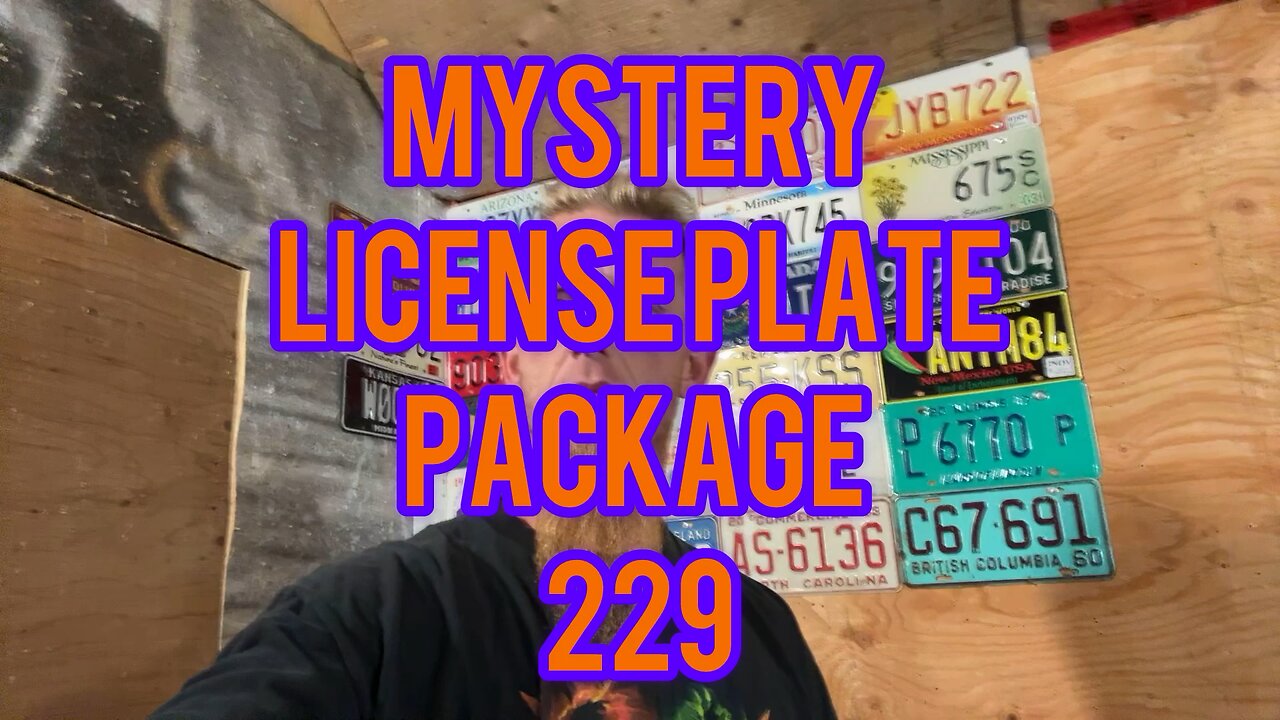 Mystery license plate package 229