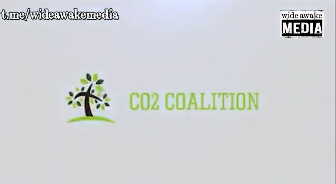 CO2 COALITION Saving the planet from the people pretending to save the planet