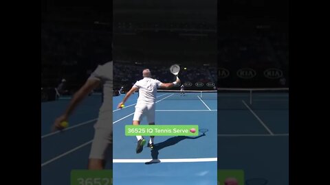 342117 IQ Level Bahrami