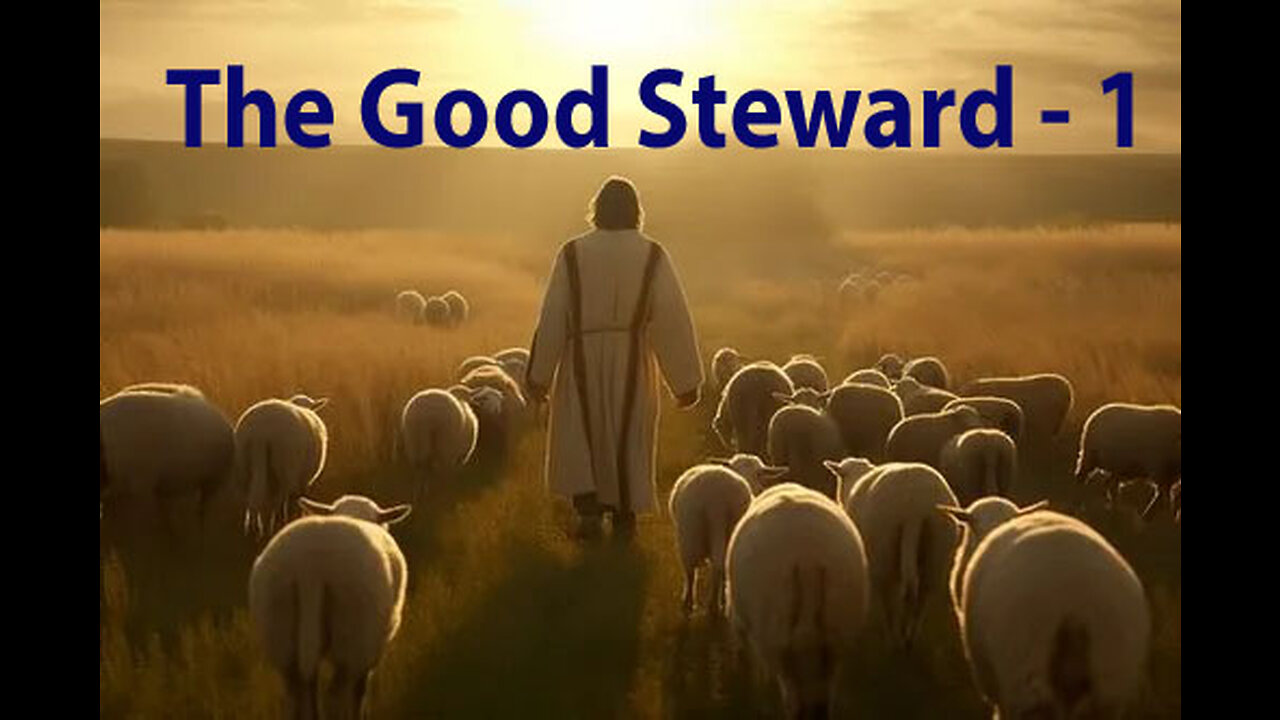 The Good Steward - 1