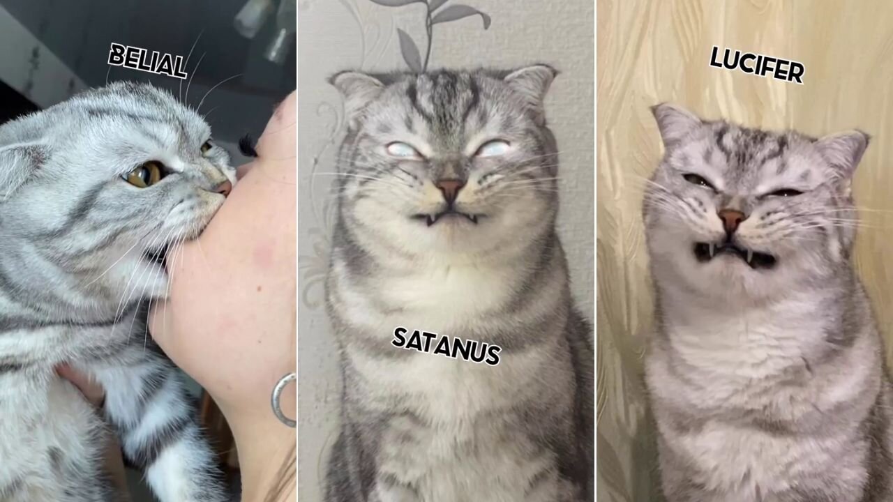BE VERY AFRAID.