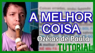 A MELHOR COISA - OZÉIAS DE PAULA - Tutorial na flauta doce contralto