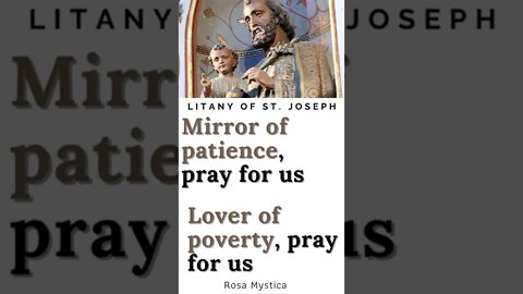 Mirror of patience, pray for us #shorts