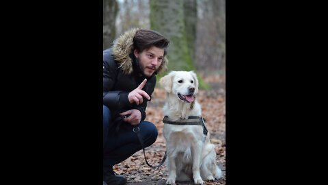 20 Tips: How to Master Essential Commands Every Dog Should Know!