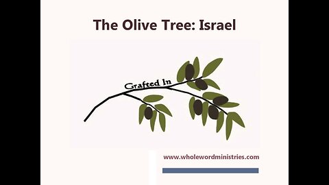 The Olive Tree: Israel