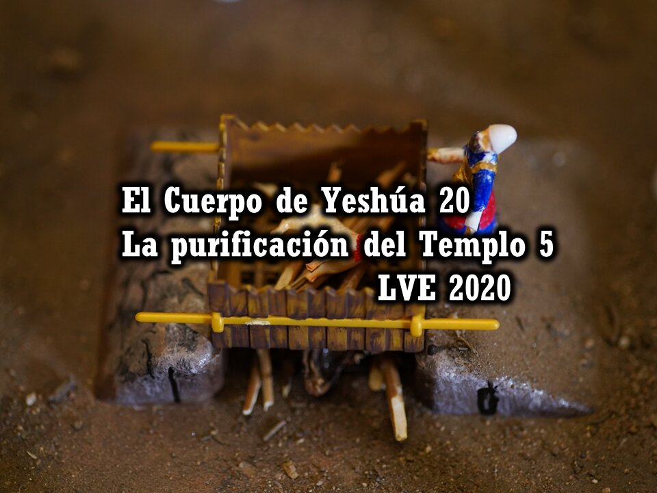 El Cuerpo de Yeshúa 20 - La purificación del Templo 5