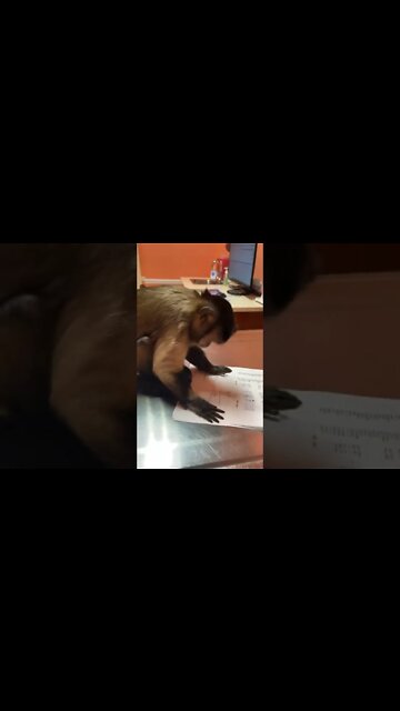 Dr Gaitlyn Rae if you missed yesterdays video go check out the update on my sister! #shorts