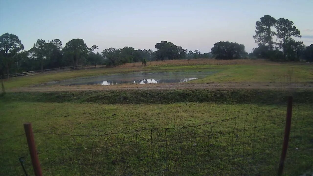 Never know what will stumble up here.