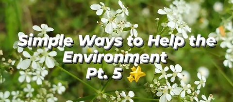 Simple Ways to Help the Environment Pt.5✨️