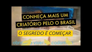 CONHEÇA O CRIATÓRIO DO IVAN