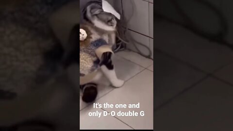 MEME is the one and only D-O double G #shorts