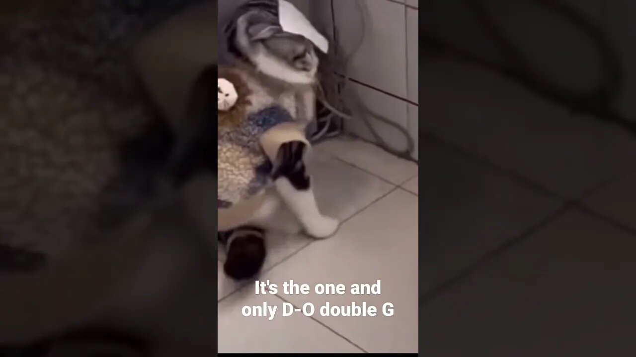 MEME is the one and only D-O double G #shorts