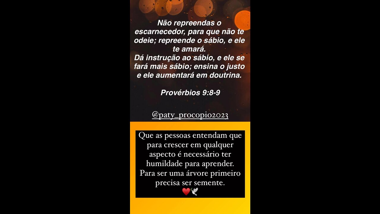 Magnífico dia amados♥️🕊