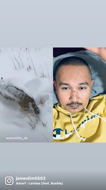 Wildlife, they’re not evil but for survival 🥲