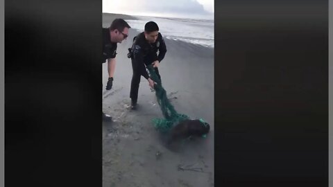 Good Cops Help Sea Critter - Police Have Become An Occupying Force But Some Are Good
