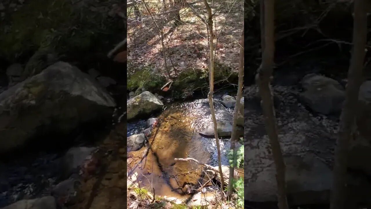 Peaceful Cottage Creek in Rawdon, Quebec (Canada)