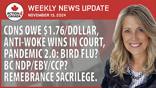 CDNS Owe $1.76 Dollar, Anti Woke Wins in Court, Pandemic 2 Bird Flu, Remembrance Sacrilege, Nov. 13, 2024