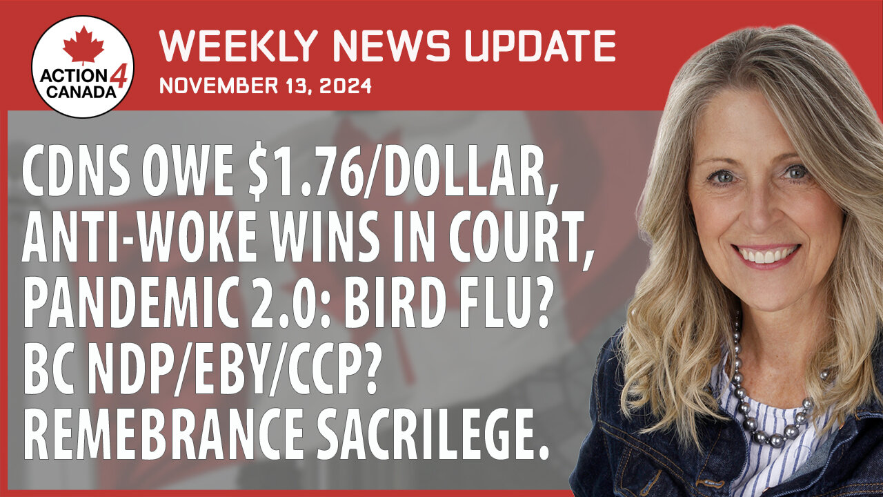 CDNS Owe $1.76 Dollar, Anti Woke Wins in Court, Pandemic 2 Bird Flu, Remembrance Sacrilege, Nov. 13, 2024