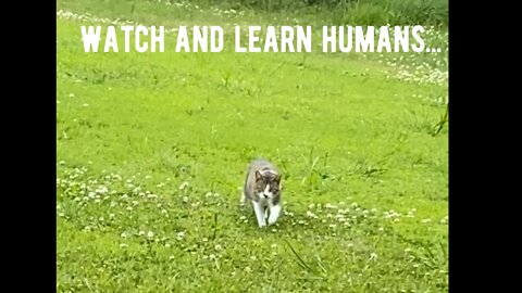 Squirrel Drilz!