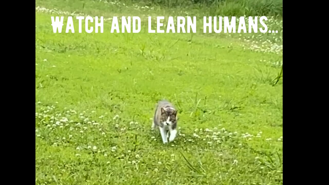 Squirrel Drilz!