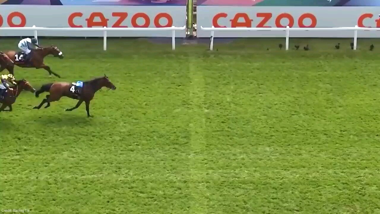 most funny video