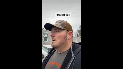harvest day