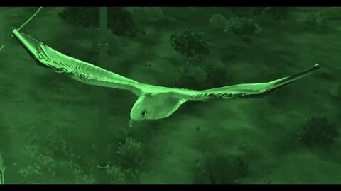 Arma 3: bird AI
